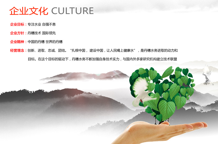 企业文化